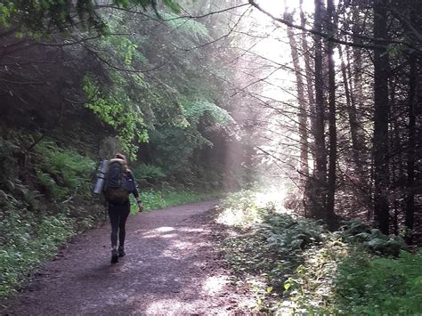 CURTREKKERS (2026) All You Need to Know BEFORE You Go (with Photos ...