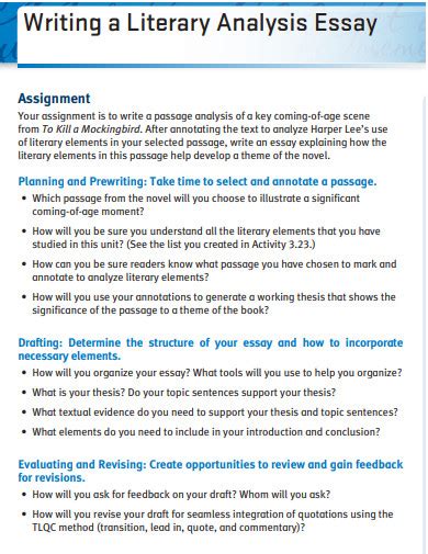 Image result for Literary Analysis Essay Examples