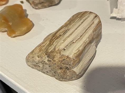 Found by a lake in Wyoming. Possibly quartz in the gaps that run along the length of it. Ideas ...