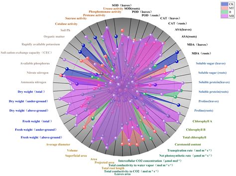 The Application of Melatonin and Organic Waste Derived from Vitamin C ...
