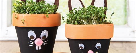 Cress pot bunnies – Craft Idea – Rayher