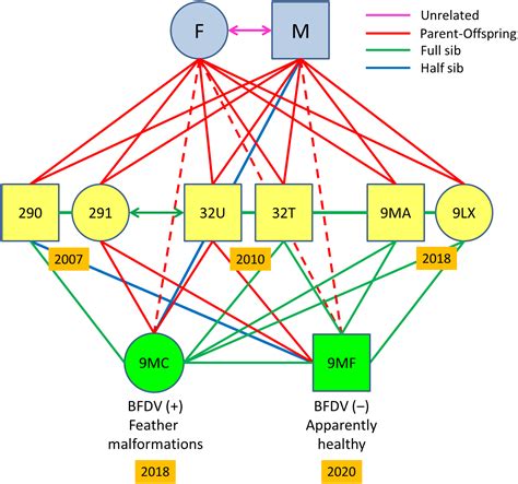 Genetic signatures of population bottlenecks, relatedness, and inbreeding highlight recent and ...