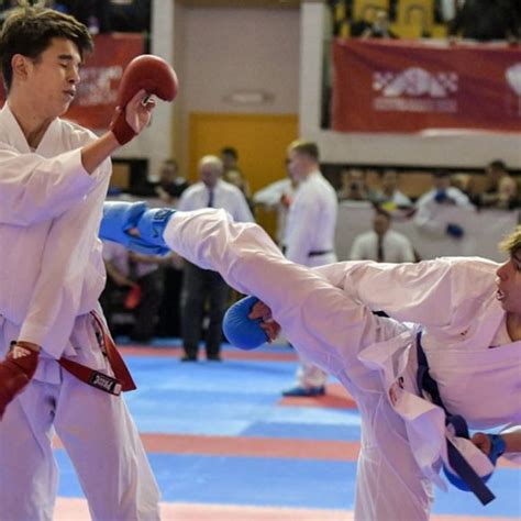 Image result for Karate Framework Java