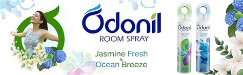 Odonil Air Freshener Room Spray - 440 ml Combo (Pack of 2, 220ml each ...