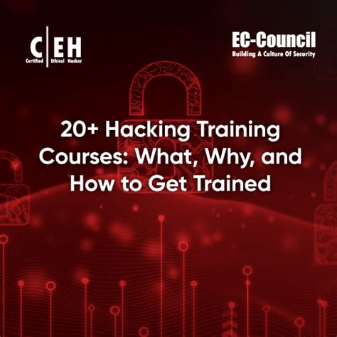 Learning How to Hack 的图像结果