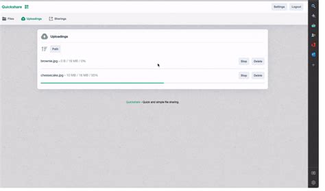 File Share Program 的图像结果