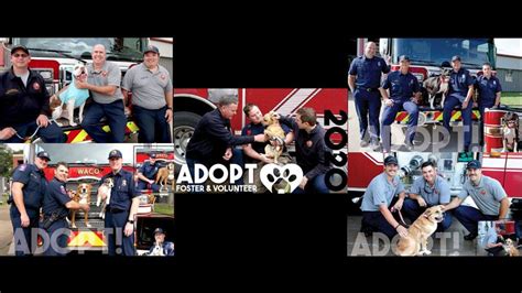 Benefit calendar features local firefighters, four-legged friends