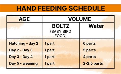 Buy Boltz Natural Hand Feeding Formula for Baby Birds for Exotic Baby ...