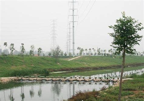 郑州发布最新“生态计划书”：今年开建郑汴洛水系连通工程、2023年建成第二动物园-大河新闻