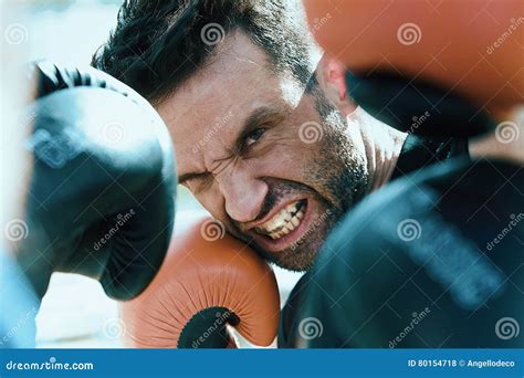 Boxing Match Back View Shot 的图像结果