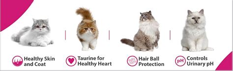 Maxi Persian Adult(+1 year) Dry Cat Food, Ocean Fish, 3kg (BUY 1 GET 1 ...