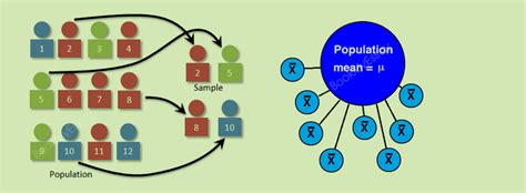 Image result for Random Sampling Example Essay