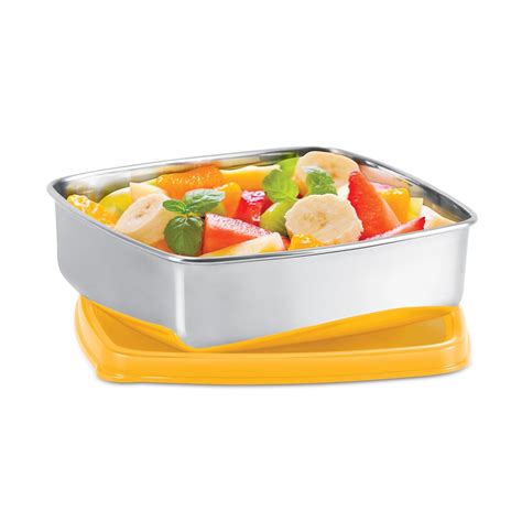 Buy Steel Pro Rectangular Lunchbox Online at Best Price | Milton