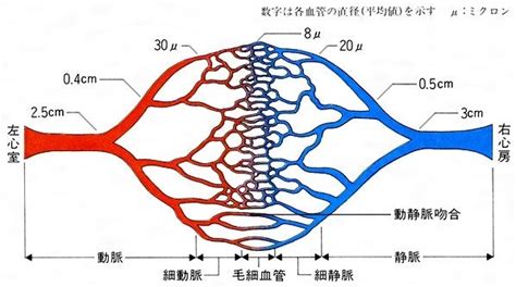 Image result for How to Scan a Two Dimensional Code