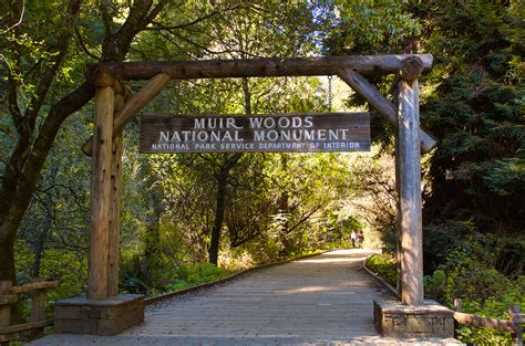 Californie : 3 parcs naturels à visiter absolument autour de San ...