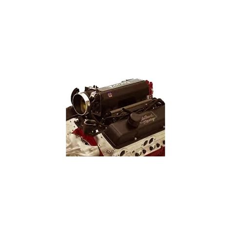 Buy Edelbrock 46903 Performer RPM E-Tech Pro-Flo XT EFI Crate Engine 9. ...