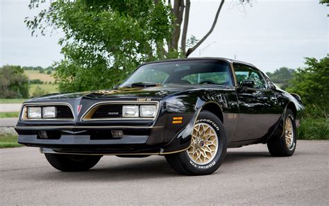 Image result for Trans AM