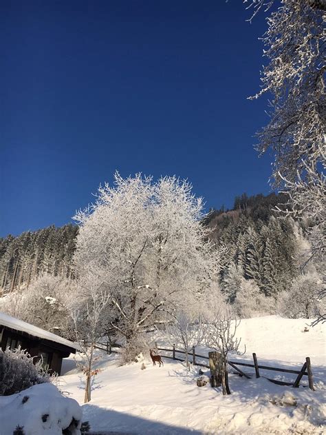 LIMBERGHOF (Zell am See) - Inn Reviews, Photos, Rate Comparison ...