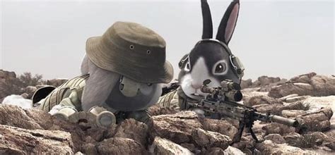 高清 60帧 猫屎一号 兔子 可爱的兔子武装也是很厉害的-游戏视频-搜狐视频