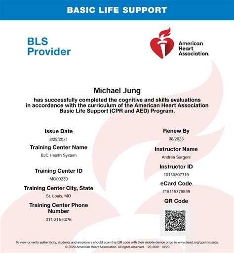 BLS Certification | Michael S. Jung, RN