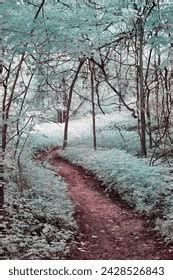 Image result for Mel Spectrogram Animation