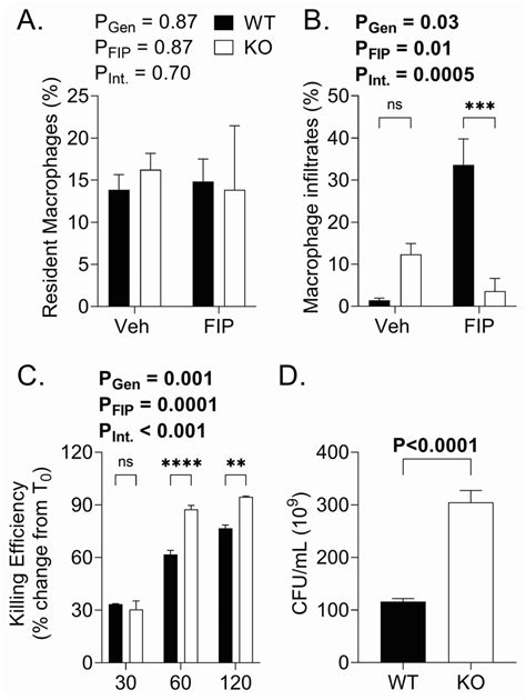 Oncostatin M Receptor Type II Knockout Mitigates Inflammation and ...