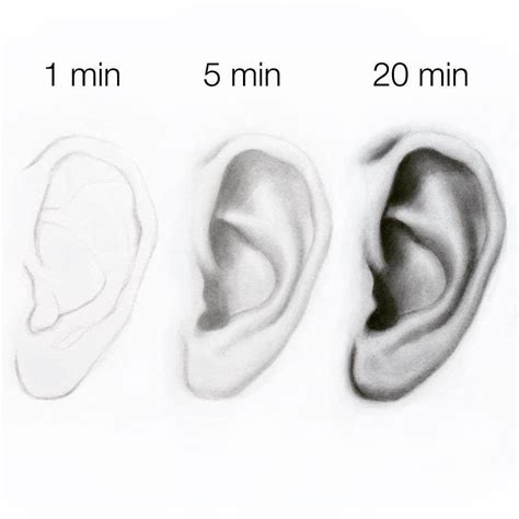 Image result for Ear Drawing Tutorial