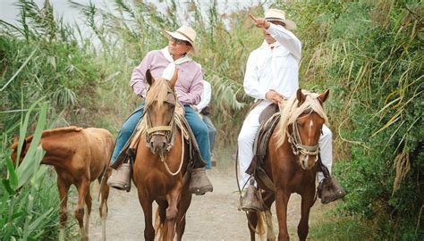 CABALGATA EN CABALLO PERUANO DE PASO (2026) All You Need to Know BEFORE ...