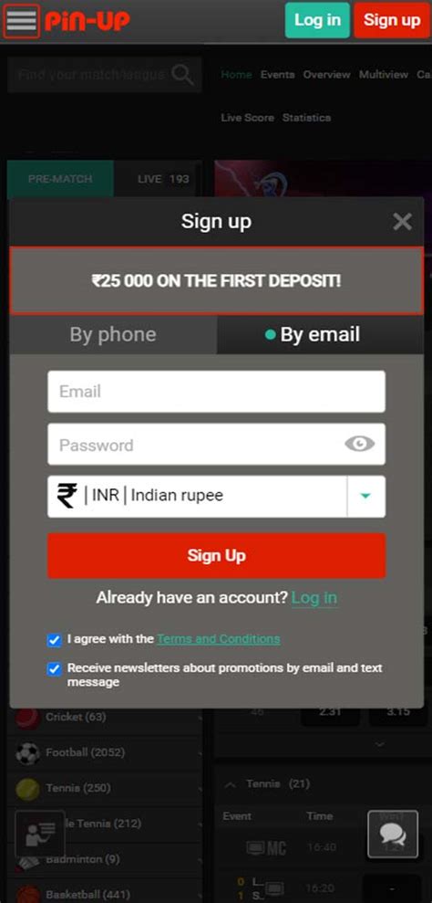 Pin Up Registration and Login | Step-by-step Register and profile ...
