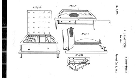 Bee Space: The Genius Discovery That Changed Modern Beekeeping