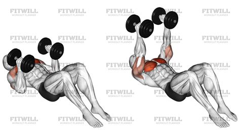 Dumbbell Lying On Floor Hammer Press: Exercise Guide, Video, Techniques ...