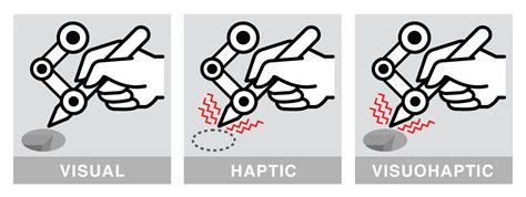Image result for Haptic Memory Example