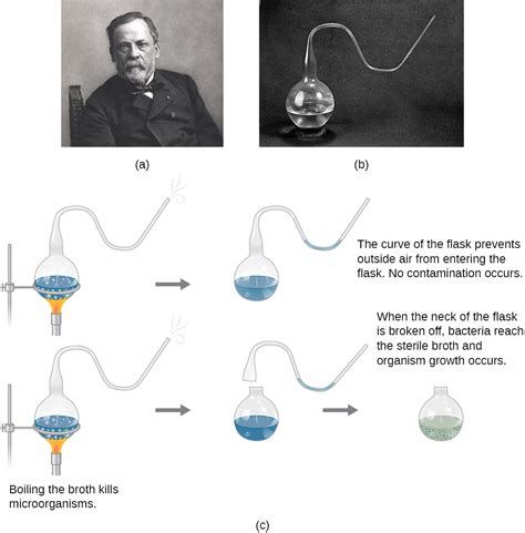 Spontaneous Generation · Microbiology