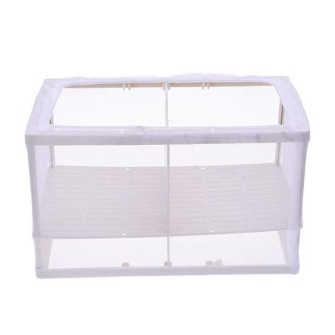 Image result for Netting Fast Fish Between Tanks