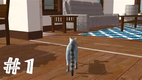 Image result for Ultimate Cat Simulator Tips