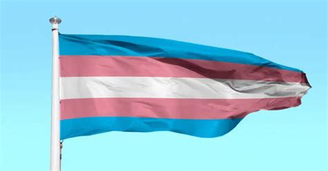 Image result for Delta Math Vector