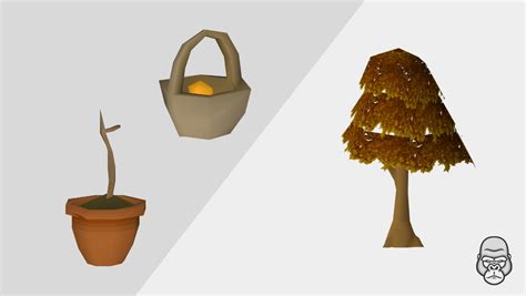 Image result for OSRS Tree Farming Locations