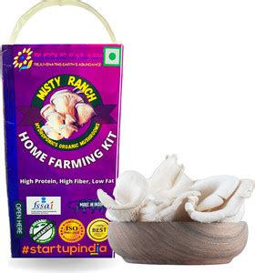 MISTY RANCH OYSTER MUSHROOM GROWING KIT Seed Price in India - Buy MISTY ...