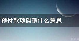 Image result for 预付款项