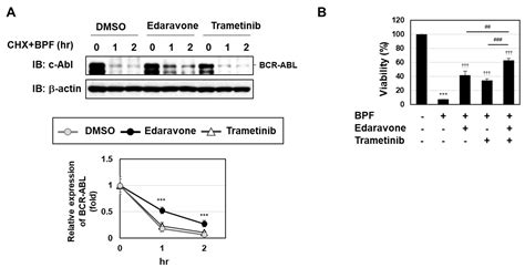 Novel Mechanism by a Bis-Pyridinium Fullerene Derivative to Induce ...