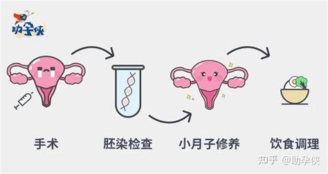 胎停之后要采取的四个[紧急措施]及[影响因素]解析 - 知乎