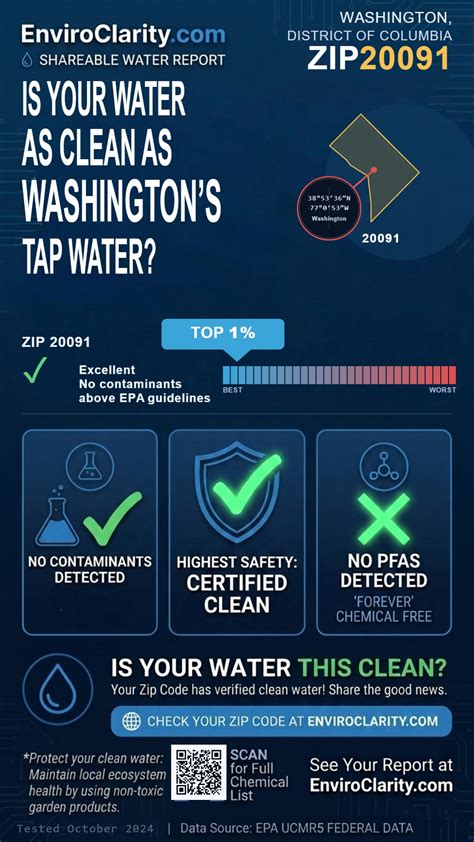 Is Washington tap water safe to drink? | 20091 Water Quality Report ...