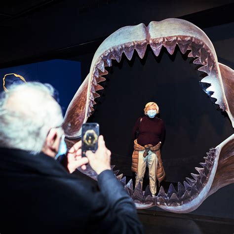 Megalodon Sightings 2022 Real