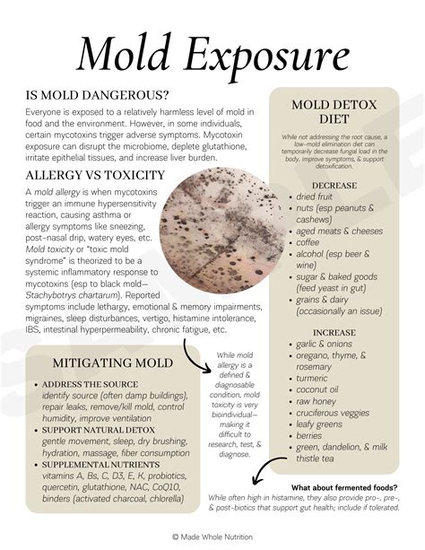 Detox Pathways Handout — Functional Health Research + Resources — Made Whole Nutrition