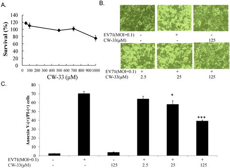 Antiviral Potential of a Novel Compound CW-33 against Enterovirus A71 ...