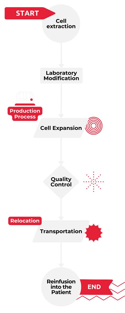 Cell Therapy Process 的图像结果