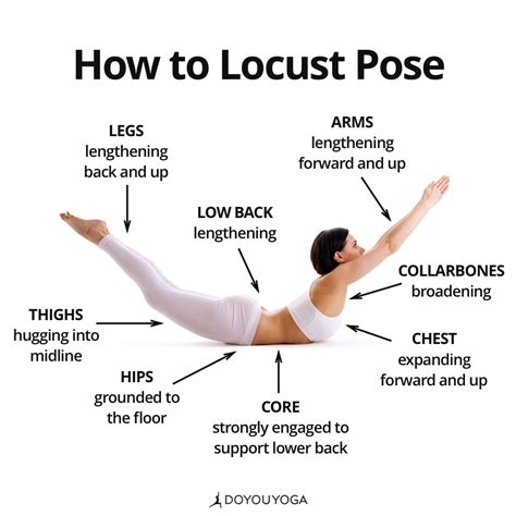 Your guide to Salabhasana! What are your favorite cues for Locust Pose ...