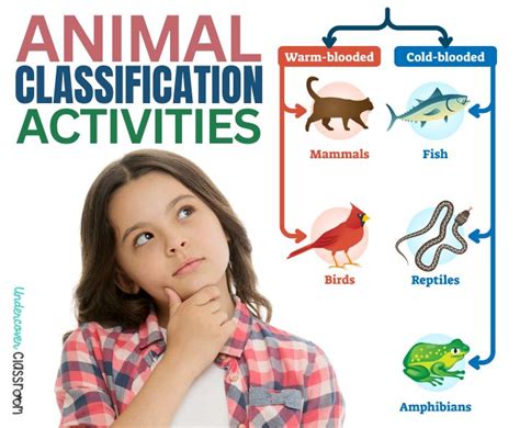 Image result for Animal Classification Tutorial in Python