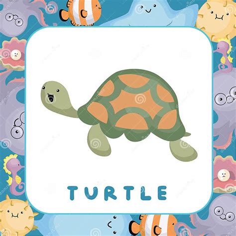 Sea Flashcard 的图像结果