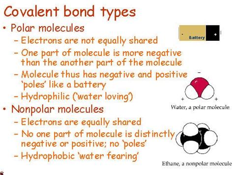 Polar Covalent Compounds Examples 的图像结果